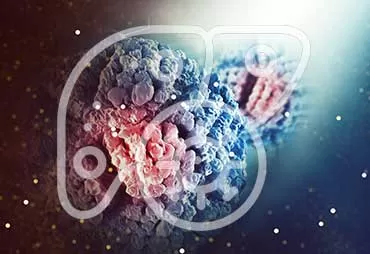 Viral Hepatitis